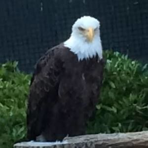 Meet your Posher, Jon